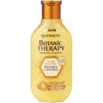 Garnier BOTANIC THERAPY HONEY SHAMPOO 1×250 ml, Shampoo