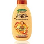 Garnier BOTANIC THERAPY HONEY SHAMPOO 1×250 ml, Shampoo