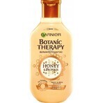 Garnier BOTANIC THERAPY HONEY SHAMPOO 1×250 ml, Shampoo