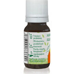 Hanus Mandarine ätherisches Öl 1×10 ml, ätherische Öle