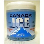 CANADA ICE GEL 1×240 ml, schmerzlindernd