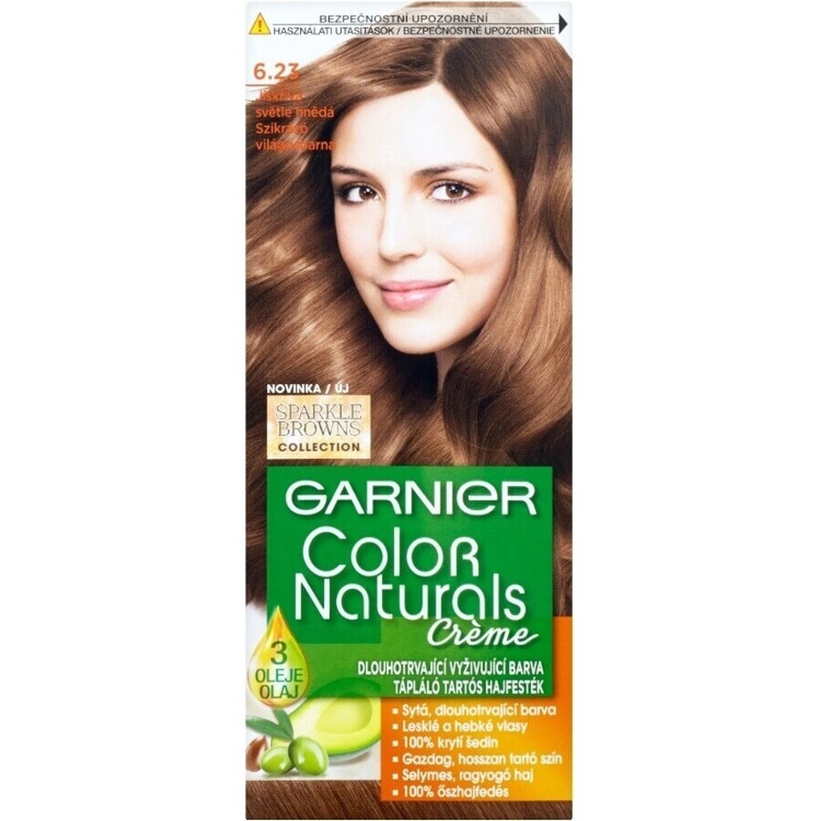 Garnier Color Naturals Tinte Permanente 6.23 Chocolate Caramelo 1×1 unidad, tinte para el cabello