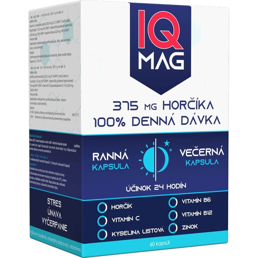 IQ MAG Magnesium morgens und abends 1×60 cps, Nahrungsergänzungsmittel