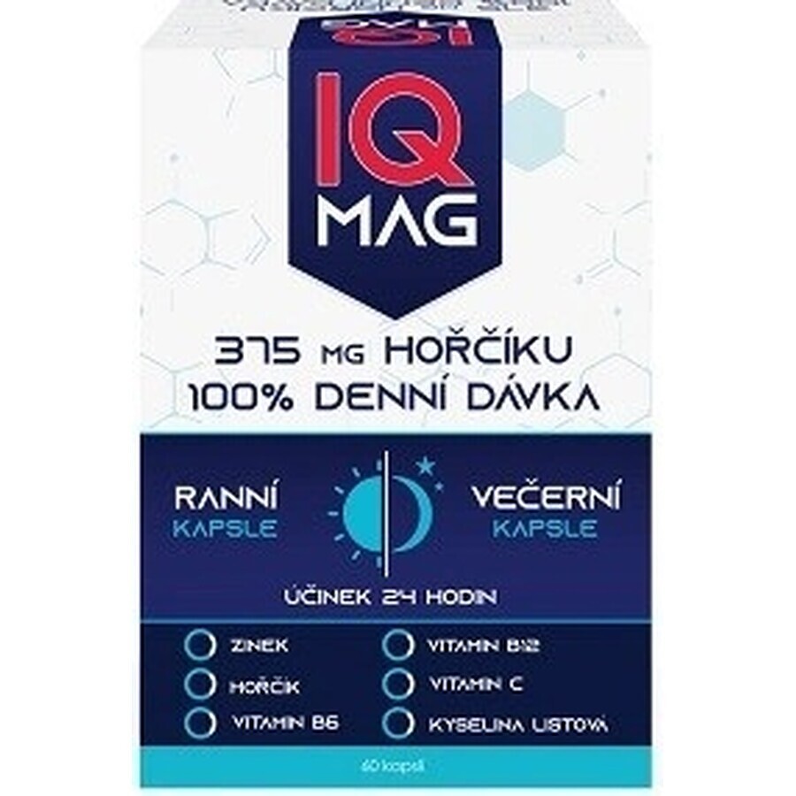 IQ MAG Magnesium morgens und abends 1×60 cps, Nahrungsergänzungsmittel