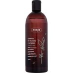 Ziaja - family shampoo with nettle for dandruff hair 1×500 ml