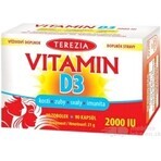 TEREZIA Vitamina D3 2000 UI 1×90 tbl, complemento alimenticio