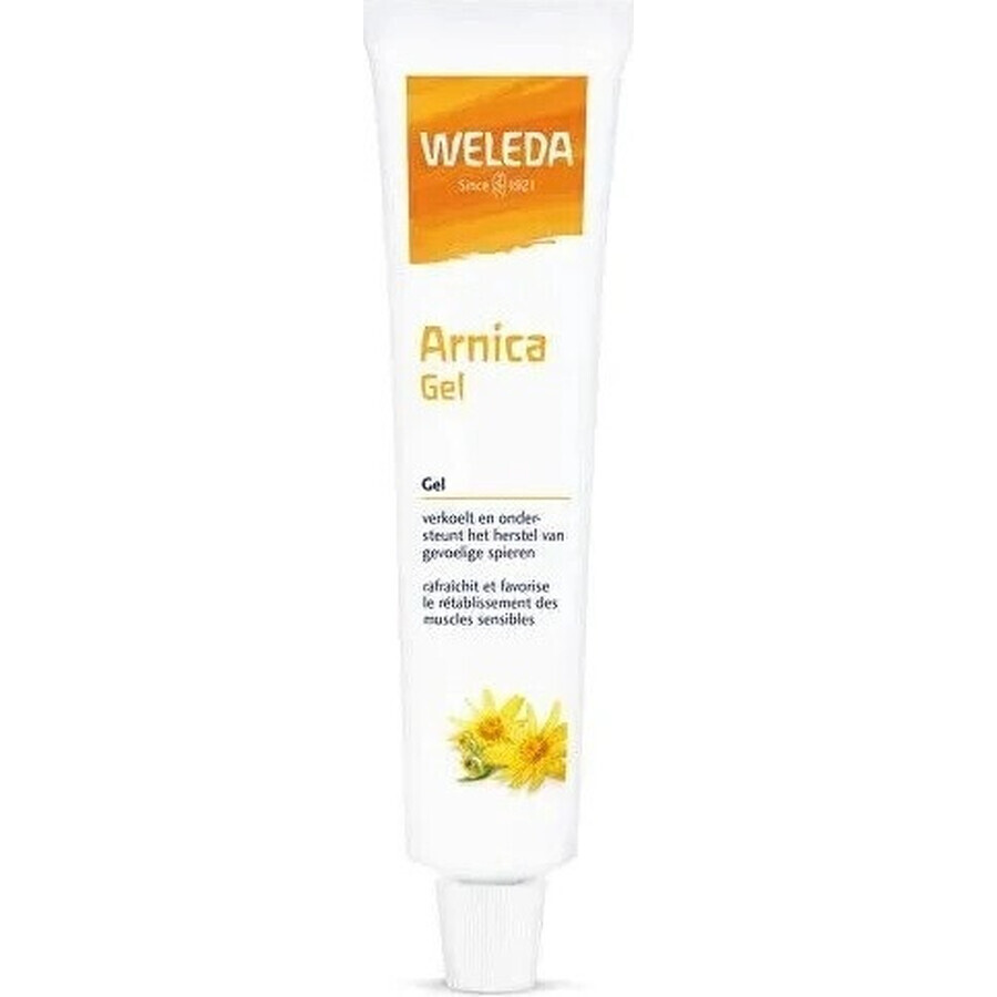 Allga San Arnica gel 1×100 ml, gel antinfiammatorio