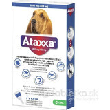 Ataxxa 2000 mg/400 mg (Hunde über 25 kg) 1×4 ml, Lösung für Hunde