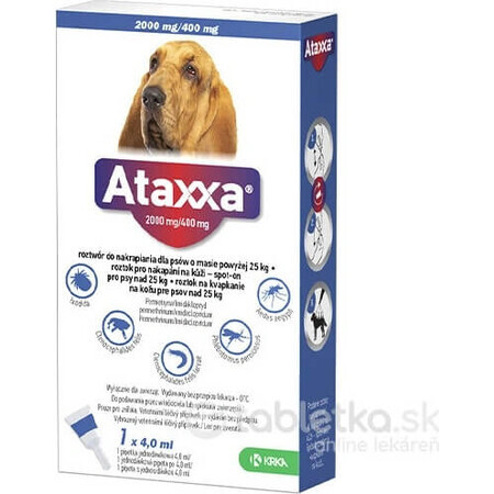 Ataxxa 2000 mg/400 mg (chiens de plus de 25 kg) 1×4 ml, solution pour chiens