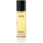 Chanel No. 5 Edt 100ml 1×100 ml, Eau de Toilette