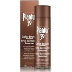 Shampoo Plantur 39 Farbe Braun Phyto-Koffein 1×250 ml, Shampoo mit Koffein