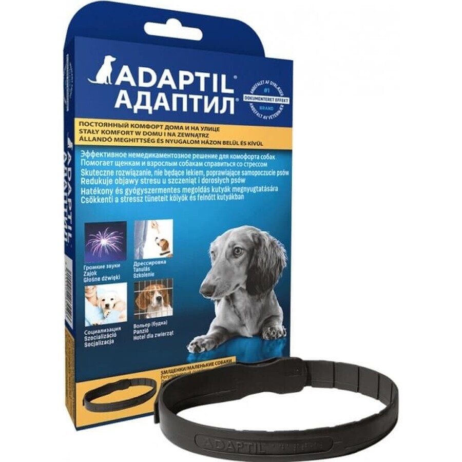 Collier Adaptil pour petits chiens 1×1 pc, longueur 45 cm