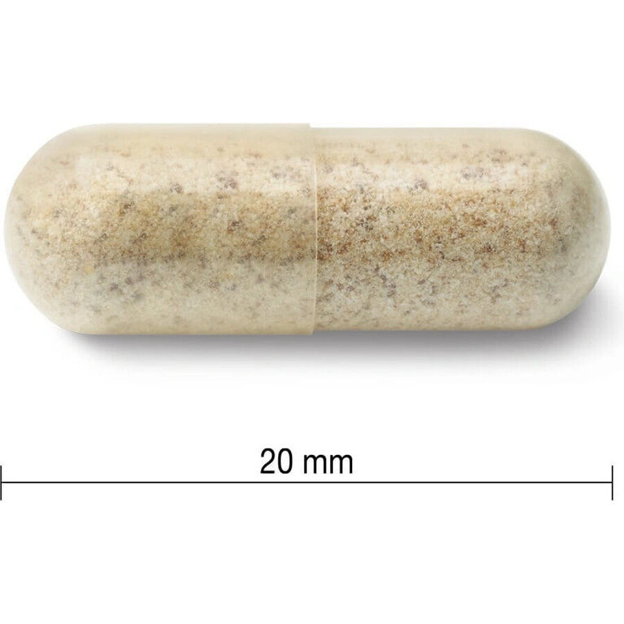 JAMIESON ECHINACEA 1200 mg 1×120 cps, Nahrungsergänzungsmittel