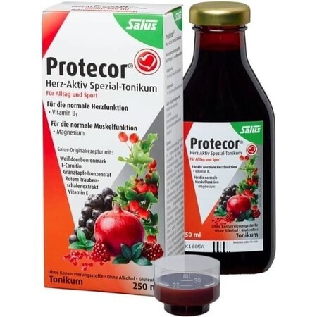 SALUS Protecor Aktiv Herz Kräutertonikum 1x250 ml