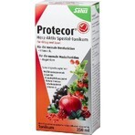 SALUS Protecor Aktiv Herz Kräutertonikum 1x250 ml