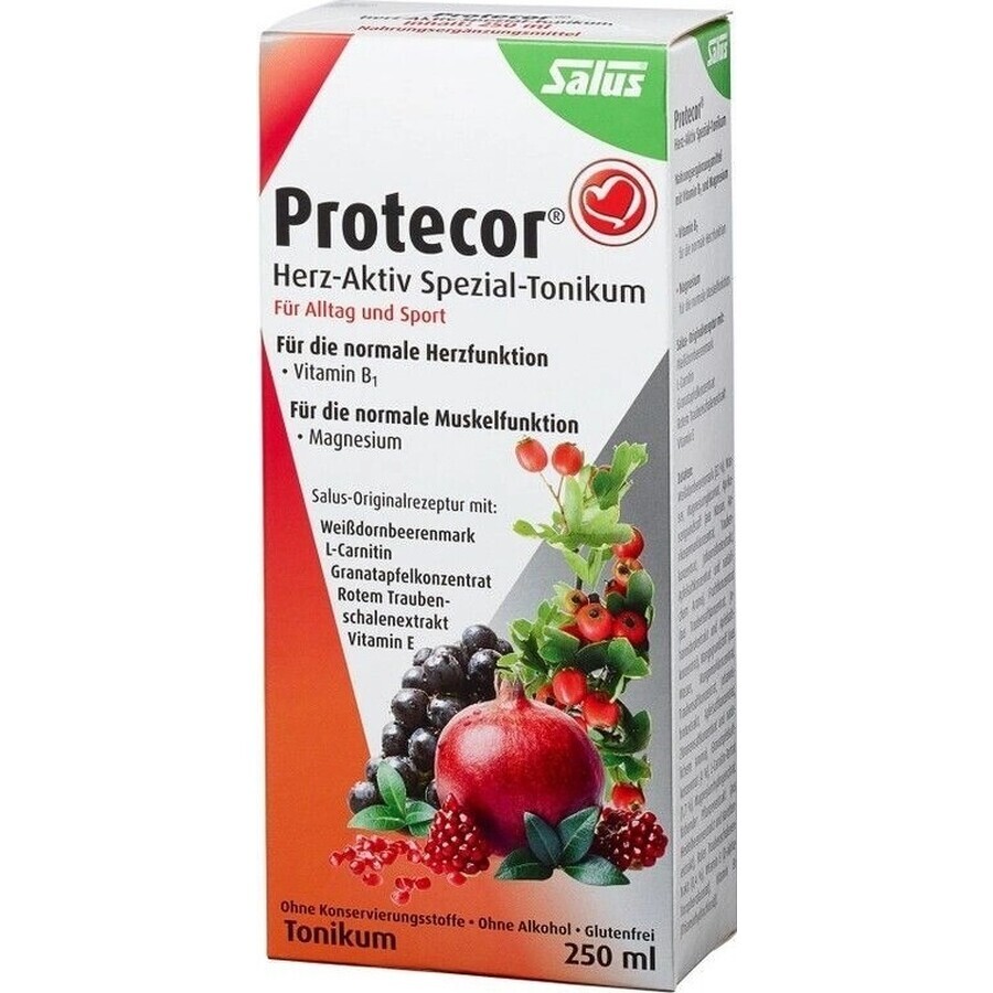 SALUS Protecor Aktiv Herz Kräutertonikum 1x250 ml