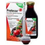 SALUS Protecor Aktiv Herz Kräutertonikum 1x250 ml