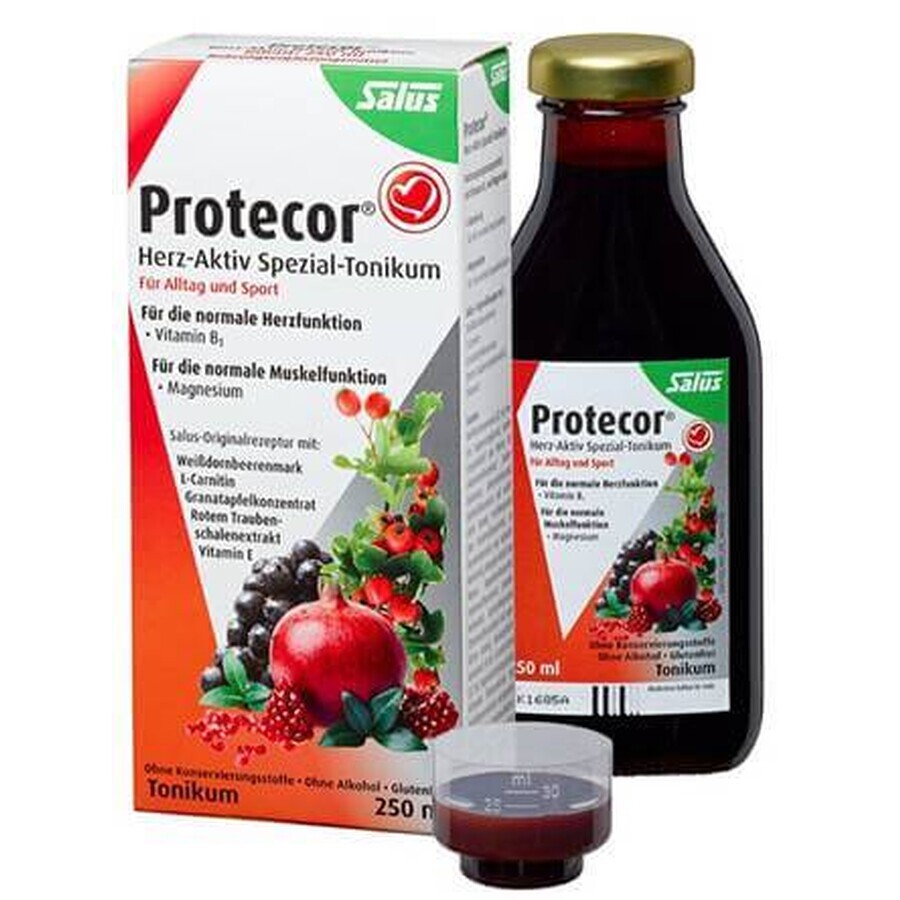 SALUS Protecor Aktiv Herz Kräutertonikum 1x250 ml