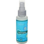 SALOOS Air Spray Eucalyptus 1×50 ml flavor Eucalyptus