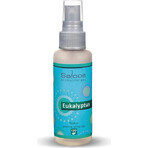 SALOOS Air Spray Eucalyptus 1×50 ml flavor Eucalyptus