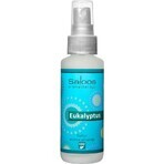 SALOOS Air Spray Eucalyptus 1×50 ml flavor Eucalyptus