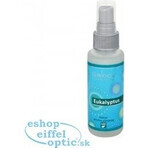 SALOOS Air Spray Eucalyptus 1×50 ml flavor Eucalyptus