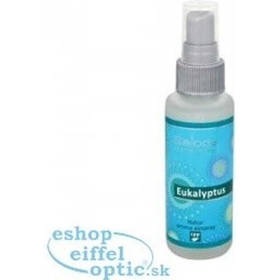 SALOOS Air Spray Eucalyptus 1×50 ml flavor Eucalyptus