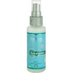 SALOOS Air Spray Eucalyptus 1×50 ml flavor Eucalyptus