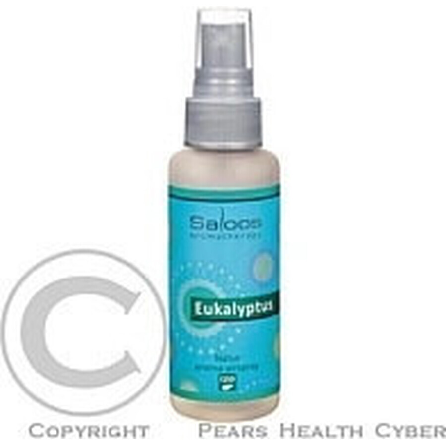 SALOOS Air Spray Eucalyptus 1×50 ml flavor Eucalyptus