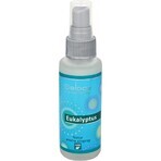 SALOOS Air Spray Eucalyptus 1×50 ml flavor Eucalyptus