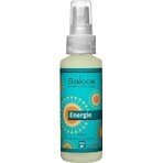 SALOOS Air Spray Eucalyptus 1×50 ml flavor Eucalyptus