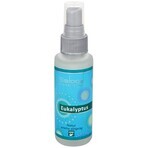 SALOOS Air Spray Eucalyptus 1×50 ml flavor Eucalyptus