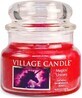 Village Candle Duftkerze im Glas - Magical Unicorn, mittelgro&#223; 1&#215;1 St&#252;ck, Duftkerze