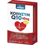 KOENZYM Q10 60 mg FORTE 1×60 cps, met vitamine E en selenium