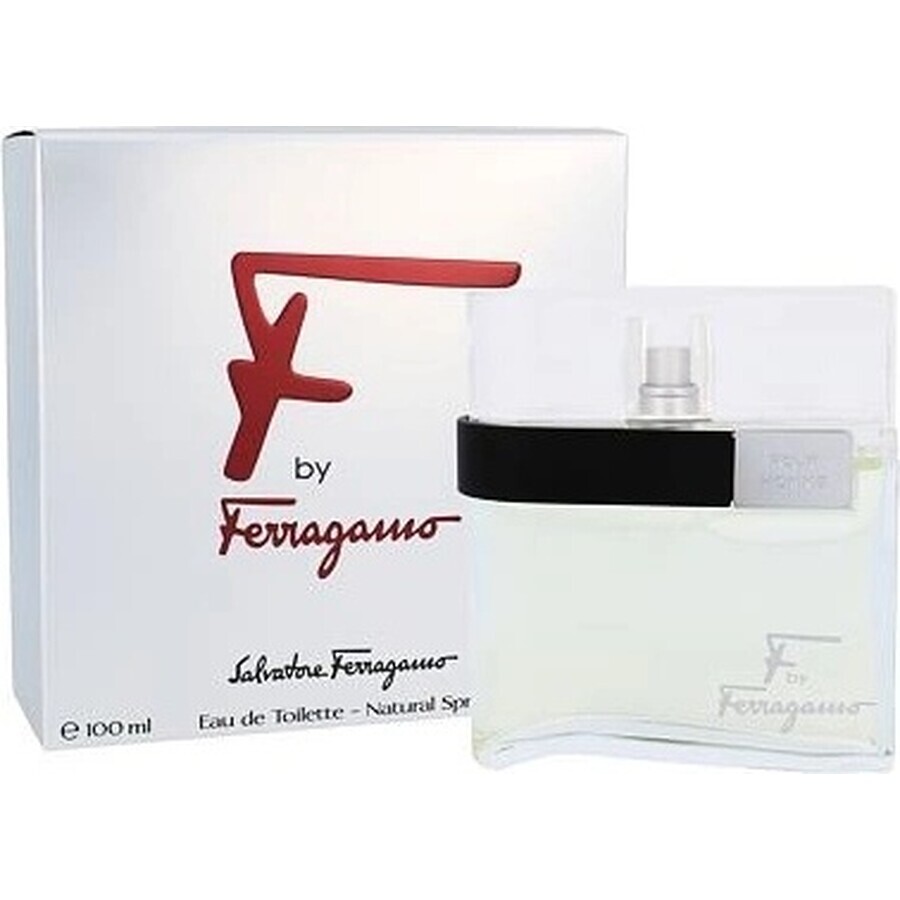 Salvatore Ferragamo F Pour Homme Edt 100ml 1×100 ml, eau de toilette