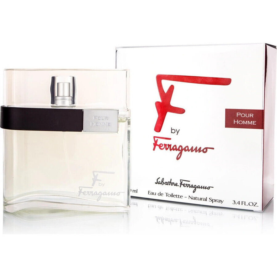 Salvatore Ferragamo F Pour Homme Edt 100ml 1×100 ml, eau de toilette