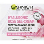 Garnier Hyaluronic Aloe Hyaluronic Rose 1×50 ml mattierende Gel-Creme