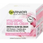 Garnier Hyaluronic Aloe Hyaluronic Rose 1×50 ml mattierende Gel-Creme