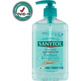 Sanytol Purifying Disinfecting Soap Purifying 1×250 ml, disinfecting soap