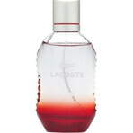 Lacoste Red Style In Play Edt 75ml 1×75 ml, Eau de Toilette