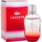 Lacoste Red Style In Play Edt 75ml 1×75 ml, Eau de Toilette