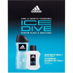 Adidas Ice Dive Edt 100ml 1×100 ml, Eau de Toilette