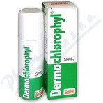 Dr. Müller DERMO CHLOROPHYL SPRAY 1×50 ml, Spray