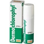 Dr. Müller DERMO CHLOROPHYL SPRAY 1×50 ml, Spray