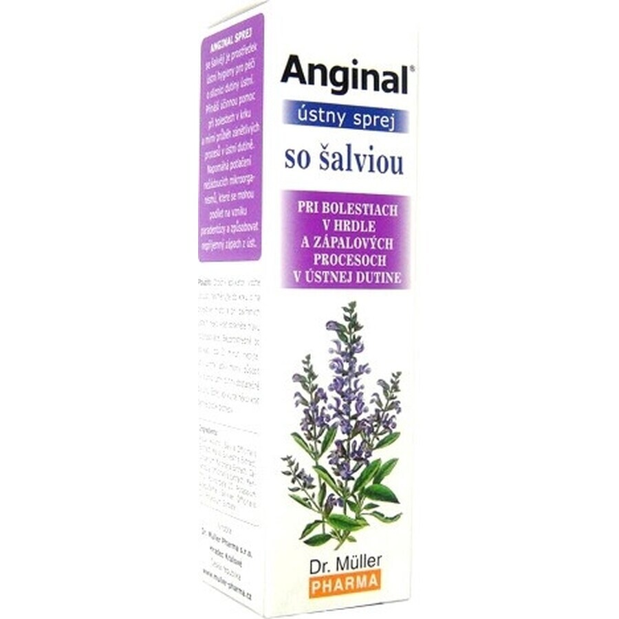 Dr. Müller ANGINAL Oral Spray 1×30 ml, oral spray