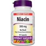 WEBBER NATURALS Niacin B3 500 mg nicht allergen! 1×90 cps, Nahrungsergänzungsmittel