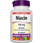 WEBBER NATURALS Niacin B3 500 mg nicht allergen! 1×90 cps, Nahrungsergänzungsmittel