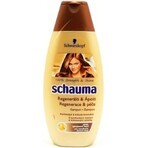 Schauma Repair & Pflege Shampoo 1×400 ml, Shampoo