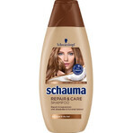 Schauma Repair & Pflege Shampoo 1×400 ml, Shampoo