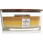 WoodWick Boat Evergreen Cashmere Evergreen Candle 1×453,6 g, candela profumata